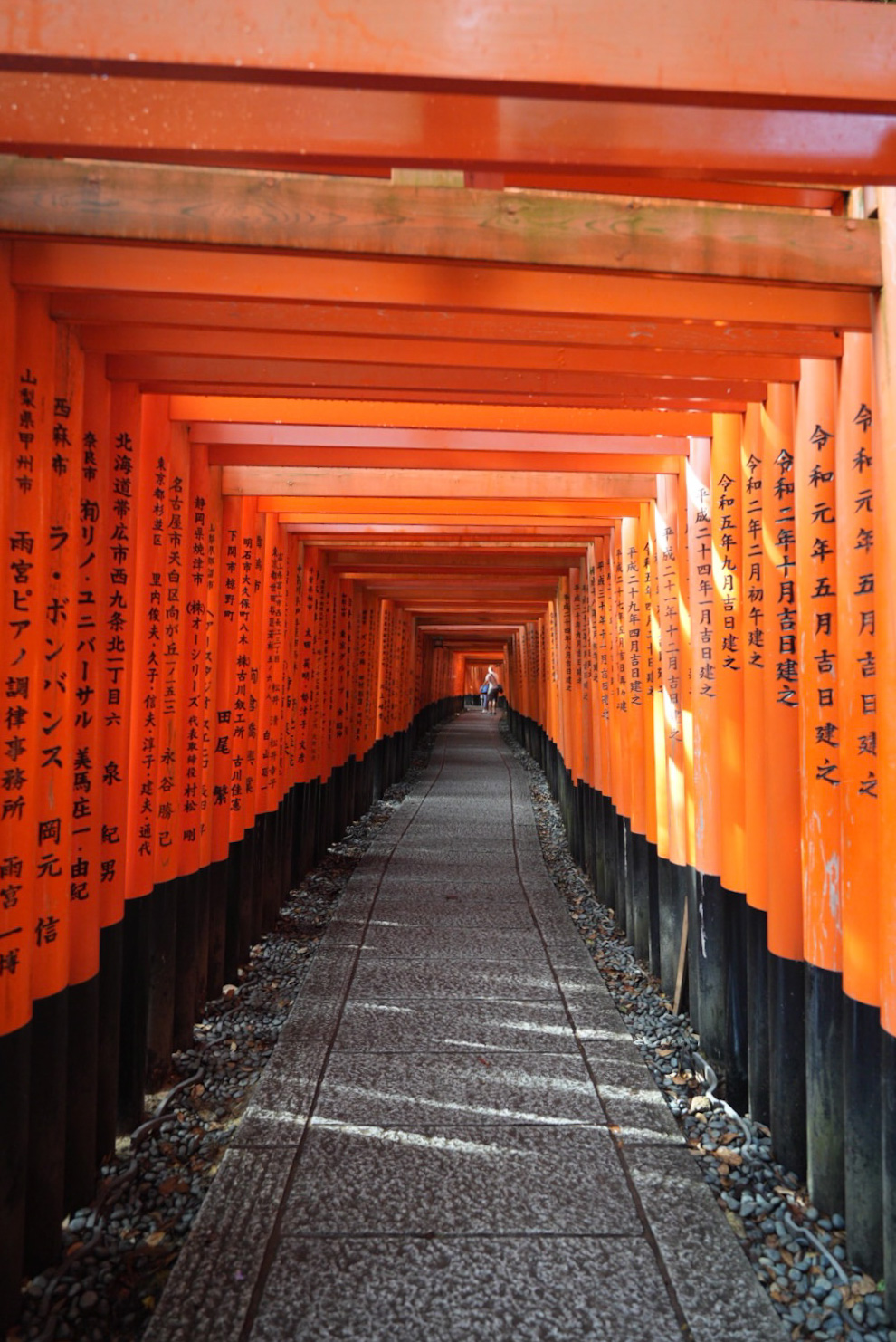 Traditional Japanese architecture in Kyoto with cherry blossoms